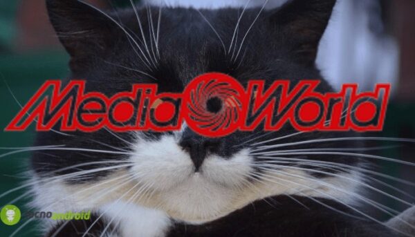 mediaworld
