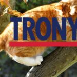 trony