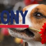 trony