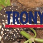 trony