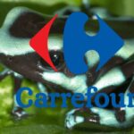 carrefour
