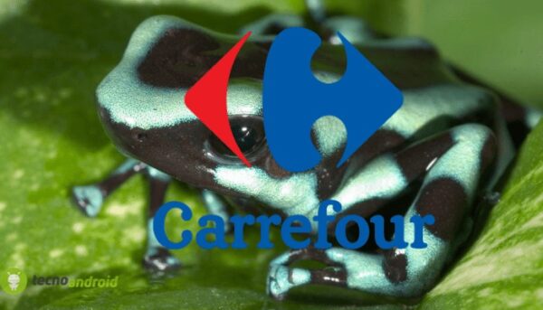 carrefour