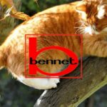 bennet
