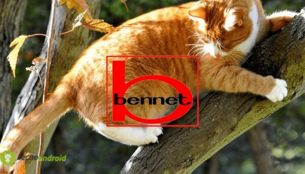 bennet