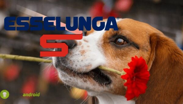 esselunga