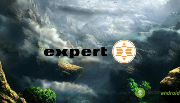 Expert