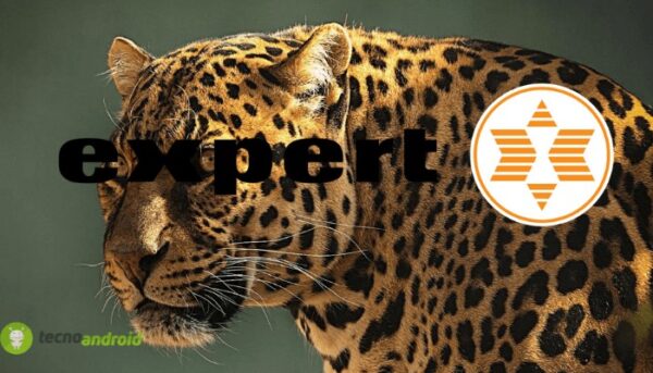 expert