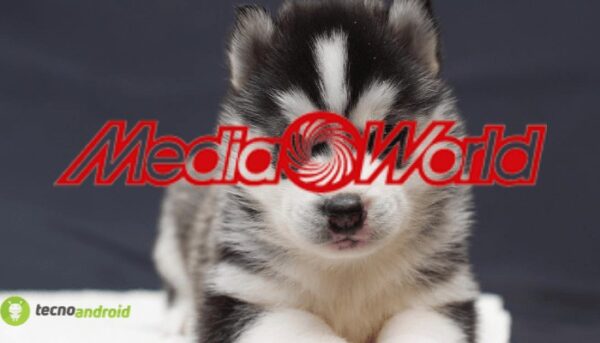 mediaworld