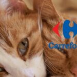 carrefour