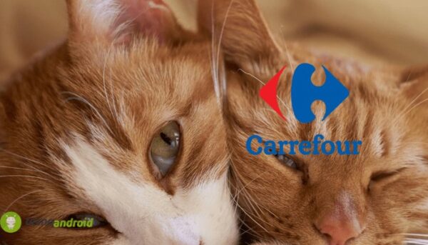 carrefour