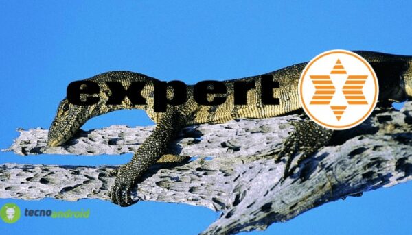expert