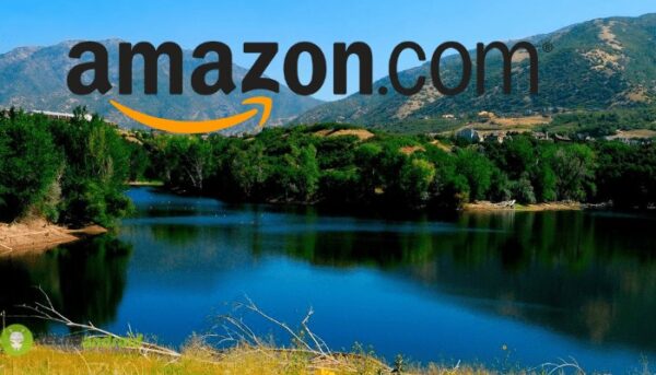 amazon