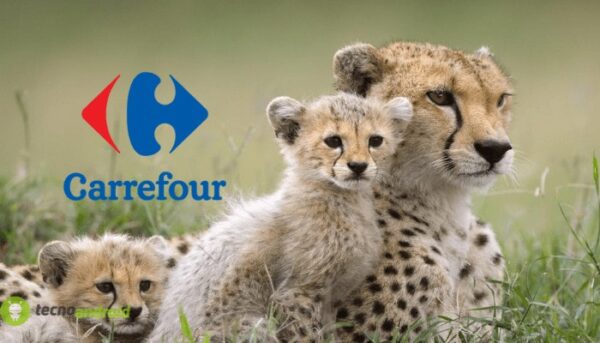 carrefour