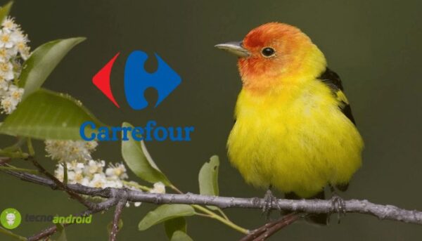 carrefour