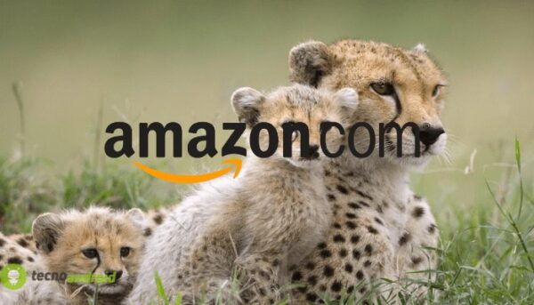 amazon
