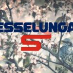 esselunga