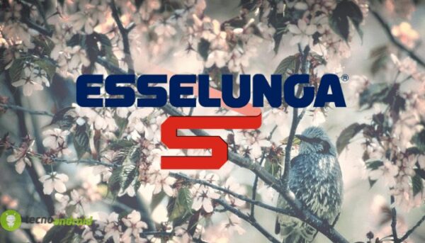 esselunga