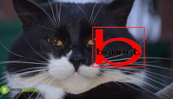 bennet