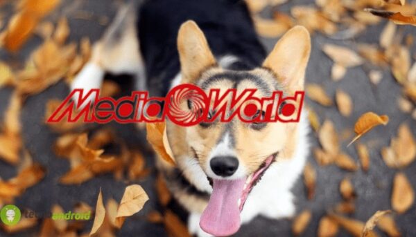 mediaworld
