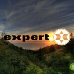 expert