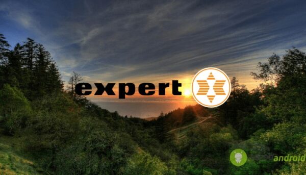 expert
