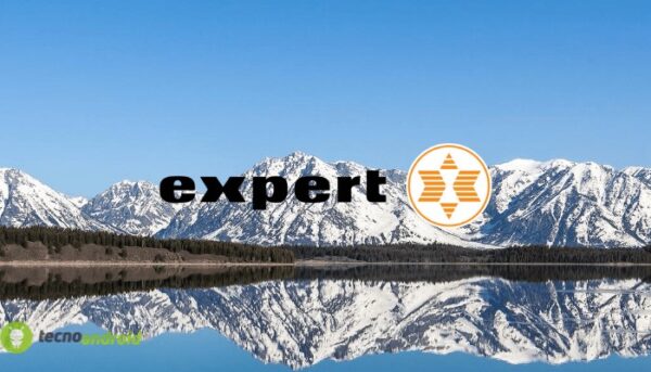 expert