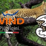 windtre
