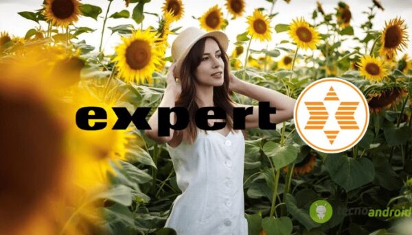 expert