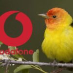 vodafone