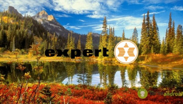 expert