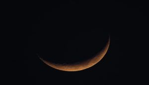 Luna Nera Black Moon