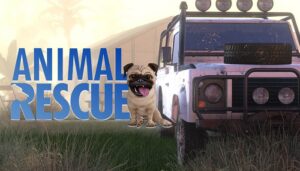 Animal Rescue, PC, Xbox One, Xbox Series X, Xbox Series S, PlayStation 4, PlayStation 5, Nintedo, Switch