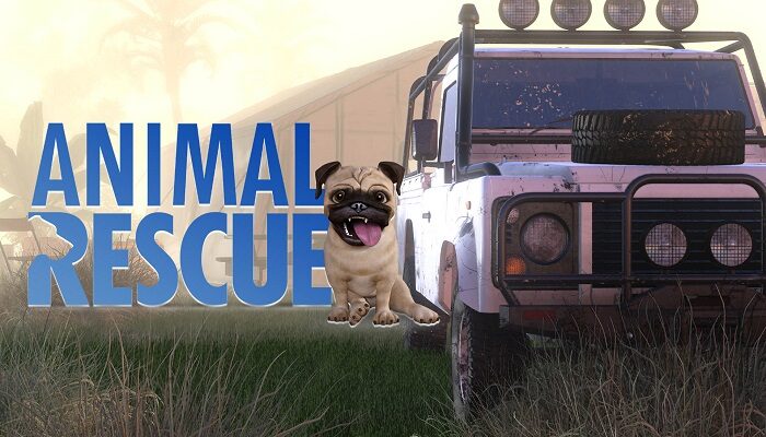 Animal Rescue, PC, Xbox One, Xbox Series X, Xbox Series S, PlayStation 4, PlayStation 5, Nintedo, Switch