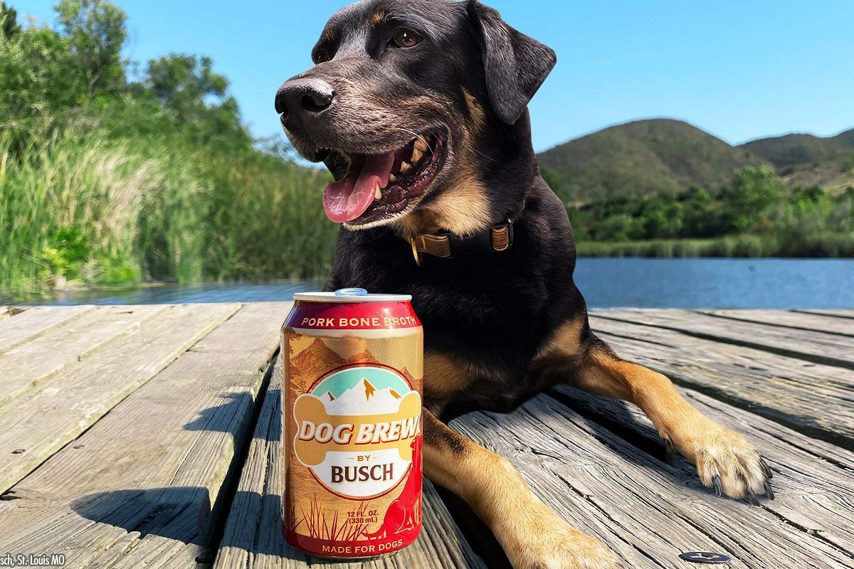 Busch Dog Brew birra analcolica per cani