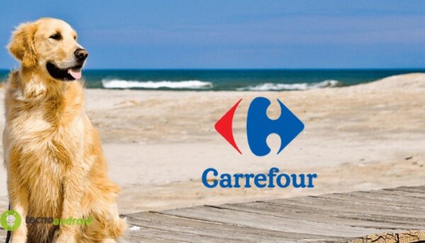 carrefour