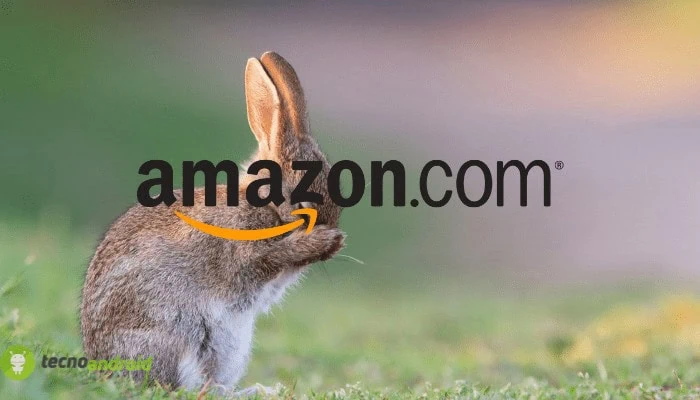Amazon: le offerte Prime nell’elenco segreto con merce quasi gratis