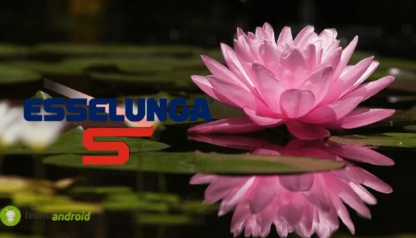 esselunga