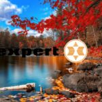 expert