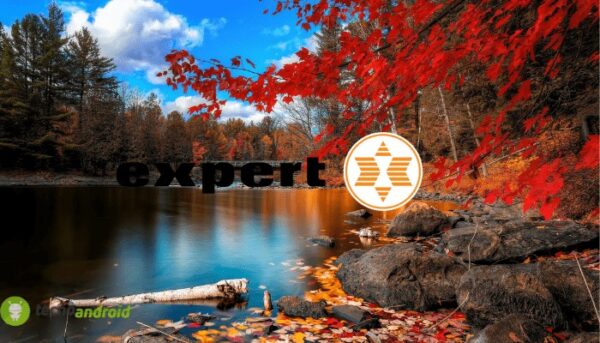 expert