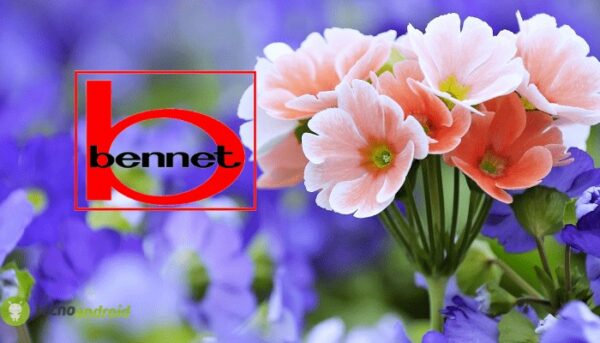 bennet