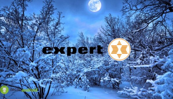 expert