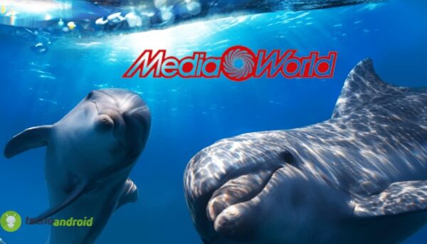 mediaworld