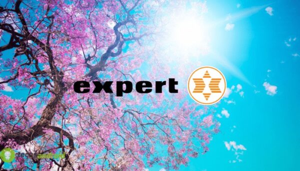 expert