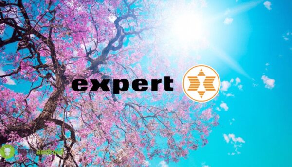 expert