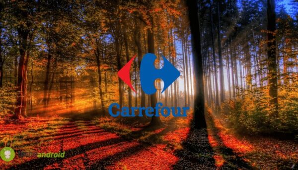 carrefour