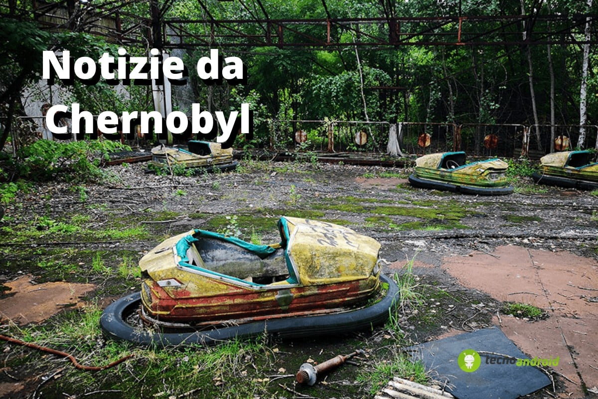 Chernobyl: il fungo che ha protetto l’umanità dalle polveri tossiche