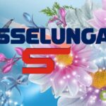 Esselunga: il volantino con super sconti incredibili sugli smartphone