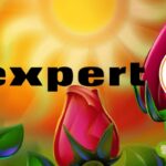 Expert: nuovo volantino con una sorpresa e prezzi straordinari