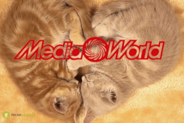 mediaworld