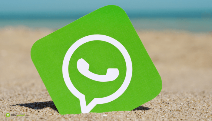WhatsApp: l'app di messaggistica nasconde dei segreti